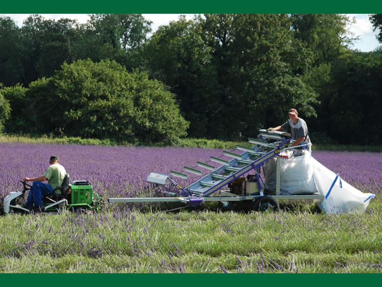 HH Harvesters In Use Left Hand View