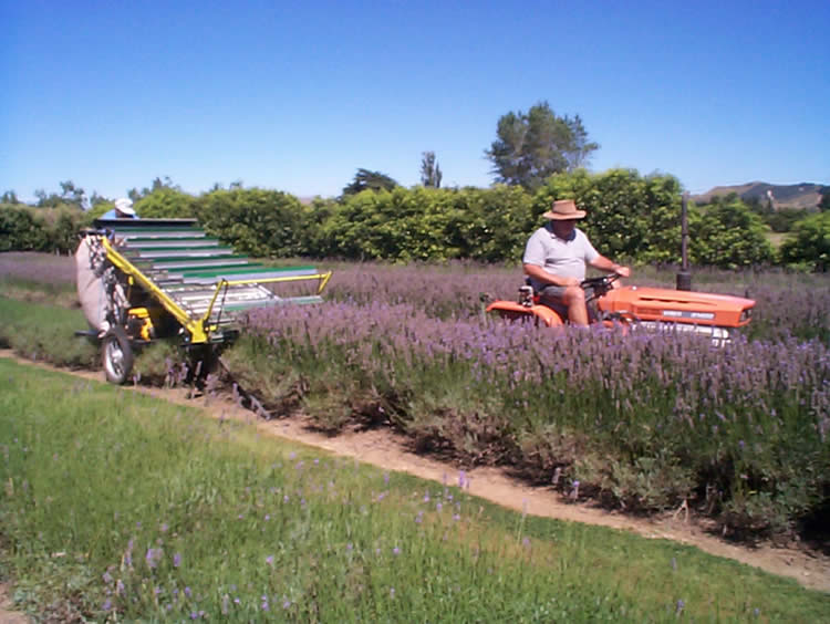 HH Harvesters In Use Right Hand View