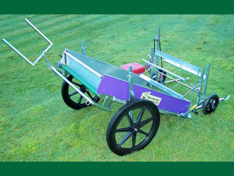 HT Cress Rear View