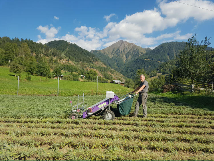 HT KumaP 24VDC Self Propelled Option