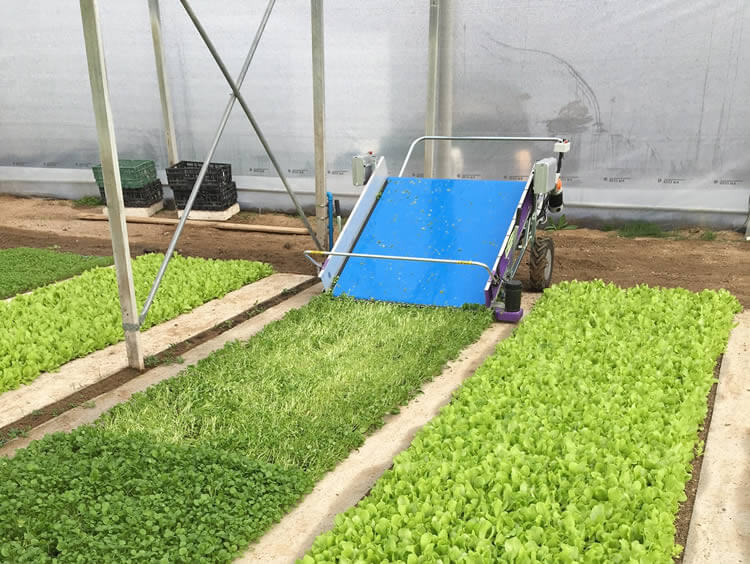 HT Shaver BD 24VDC Self Propelled With Crop